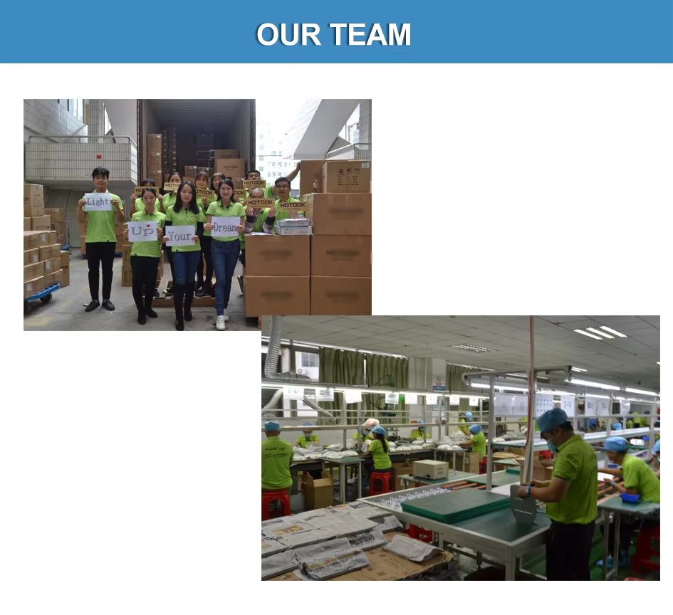 Solar Motion Activated Flood Lights