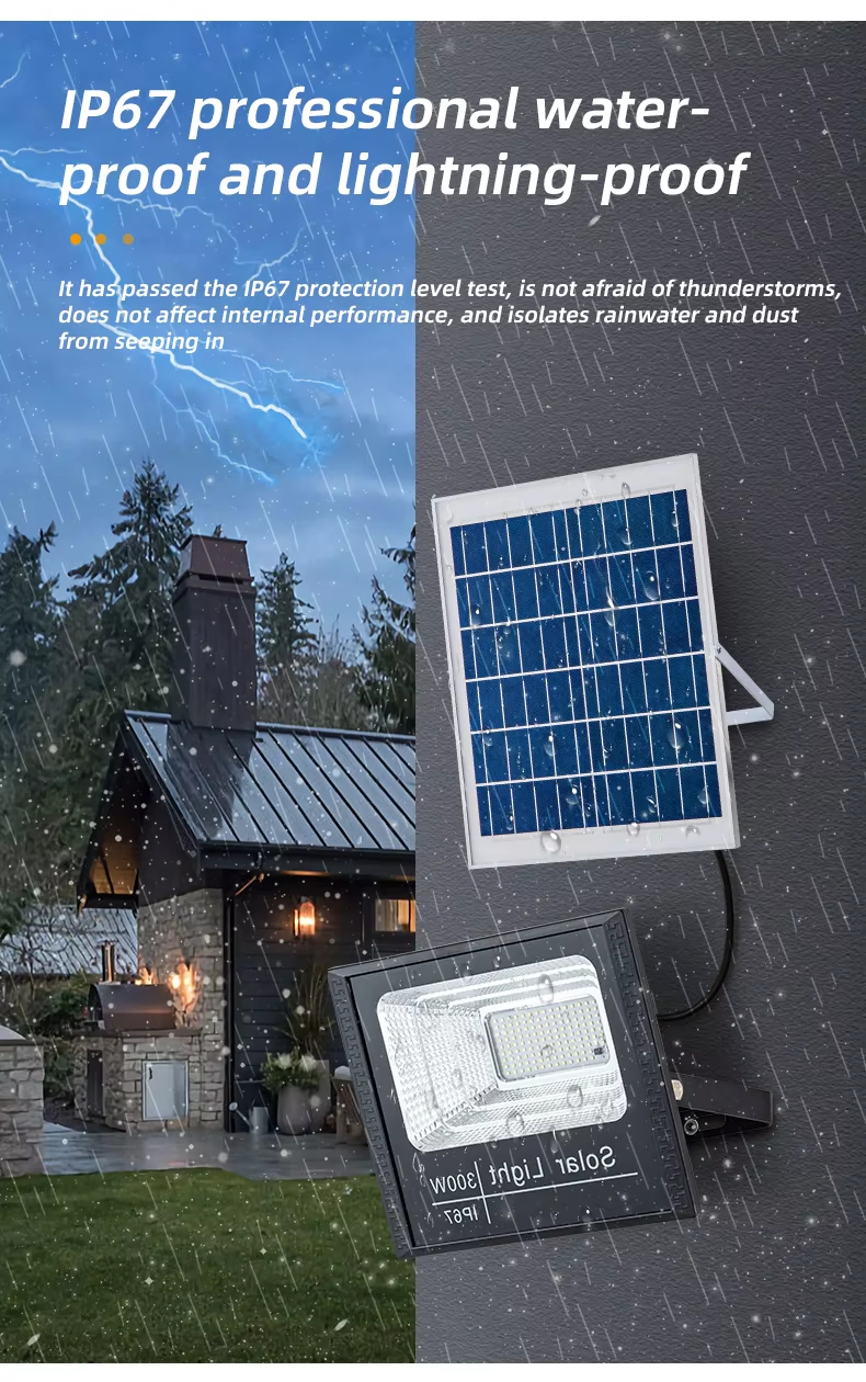 Solar Motion Activated Flood Lights