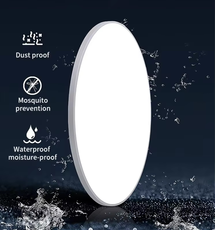 Indoor Round LED Ceiling Light for Home Kitchen Room