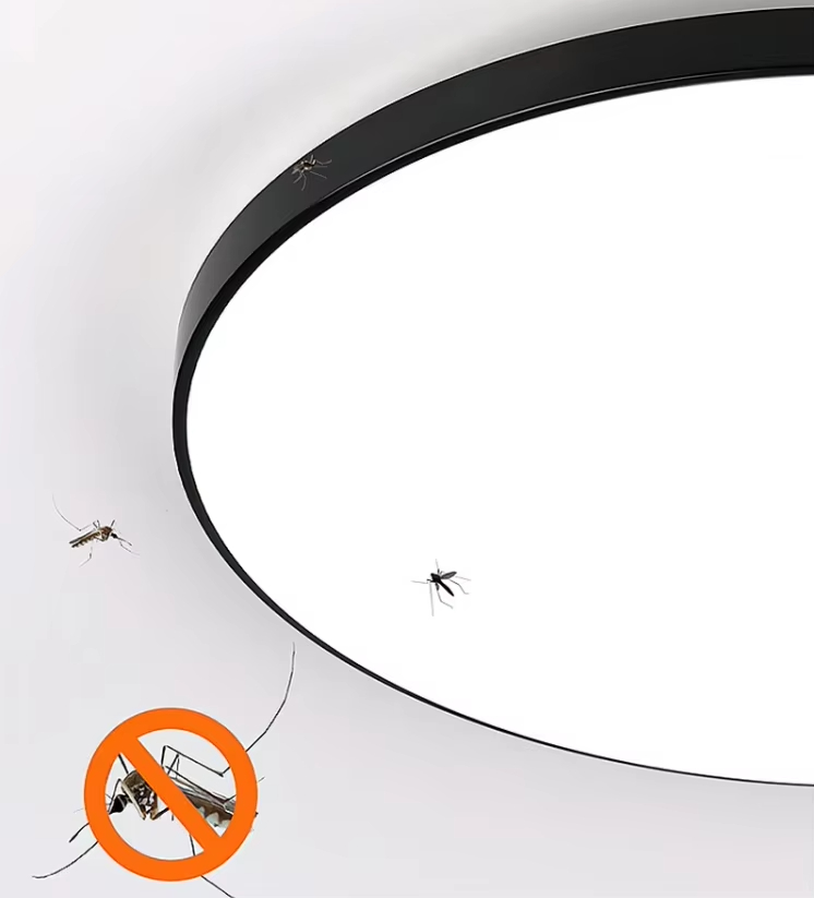 Indoor Round LED Ceiling Light for Home Kitchen Room