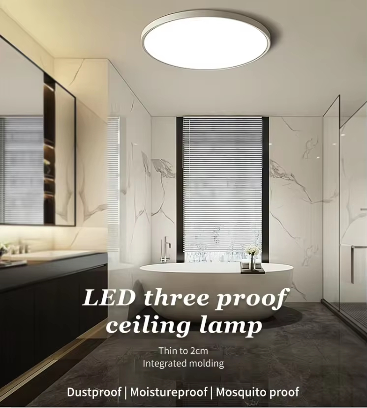 Round LED Ceiling Light