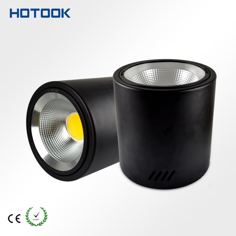 COB 30W LED Downlight Light Llights 85~265V with Black Cover