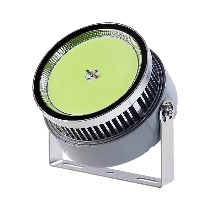 Professional IP65 Cob Fish Light